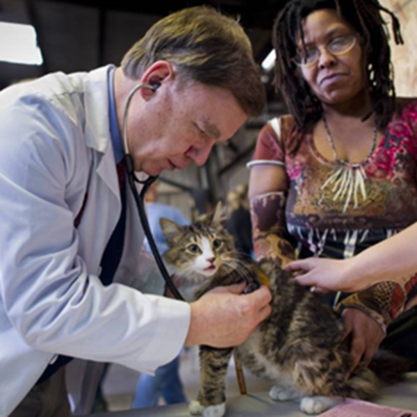Click Here to Learn about Feline Health Click Here to Learn about Feline Health