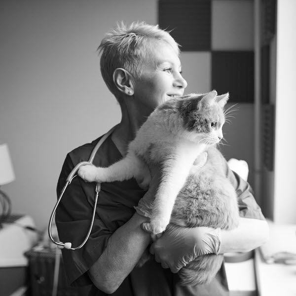 Tech and Cat Looking Out Window