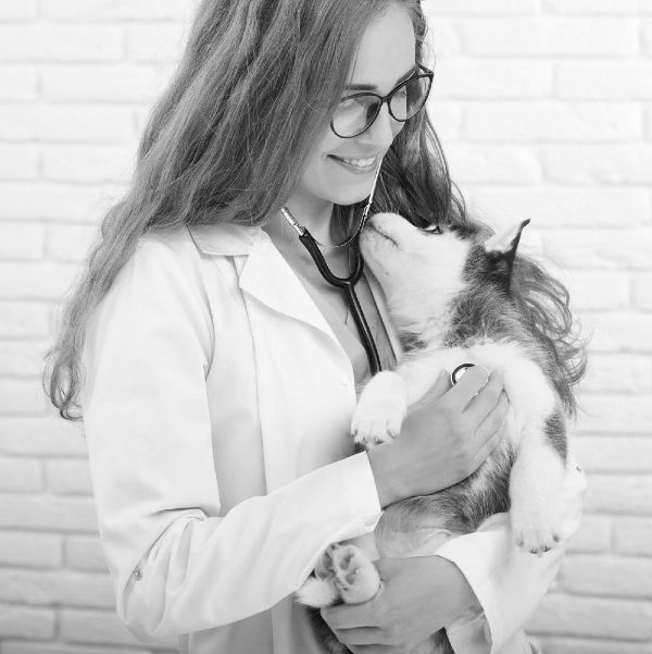 Cat with phone - Online Store